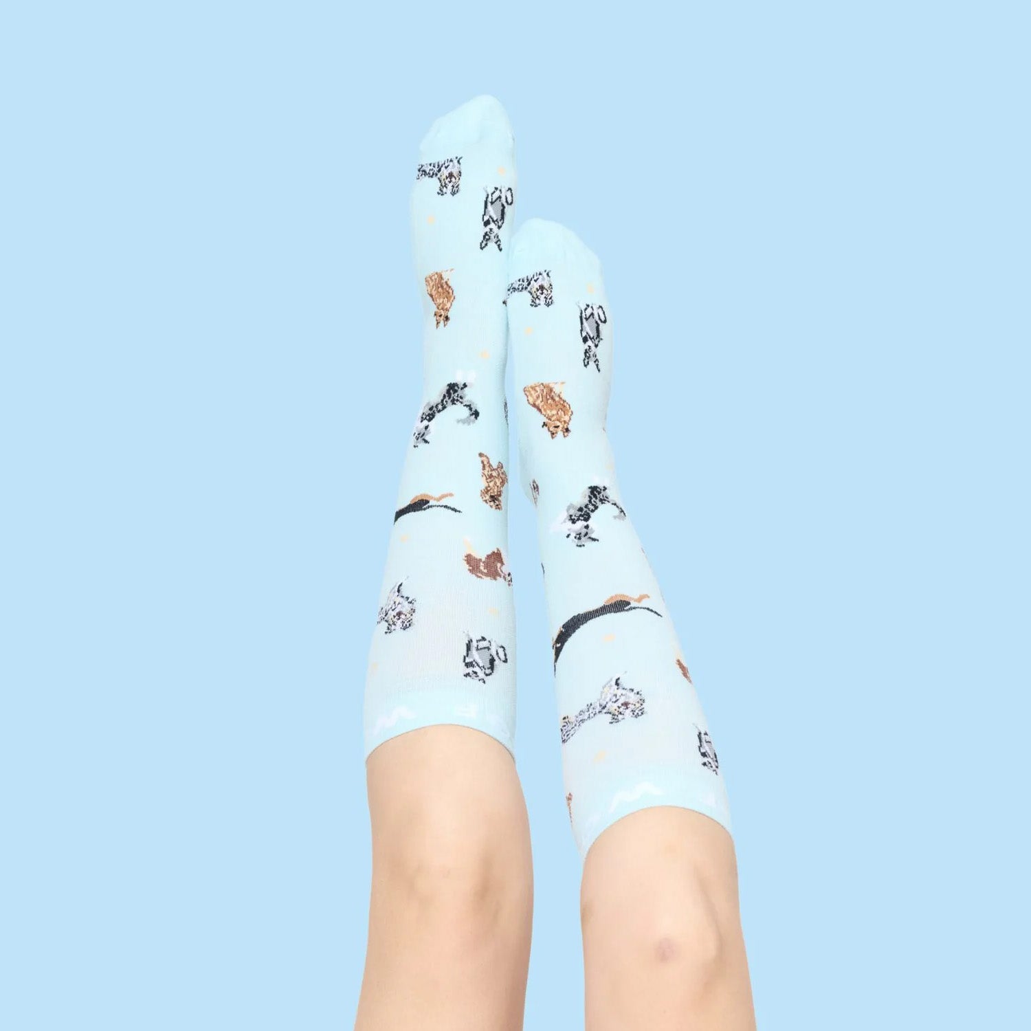 Compression Socks