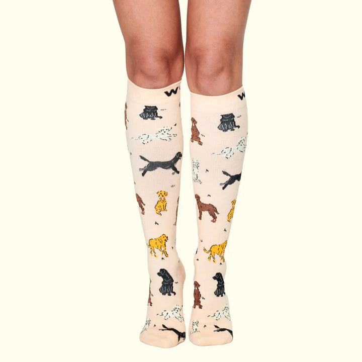 Dr Woof Compression Socks - Labradors